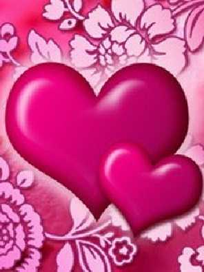 hurtownia kurczaków Pelplin