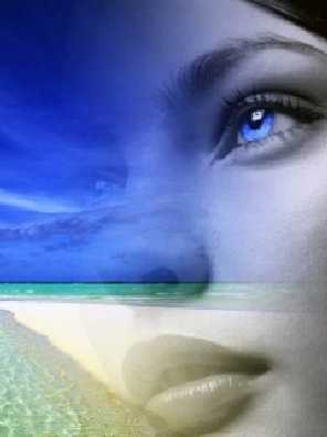 ubojnia drobiu woj. podkarpackie