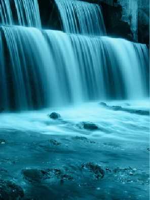 Rakoniewice kurczaki