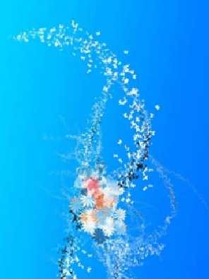 Ubojnia drobiu Wielkopolska