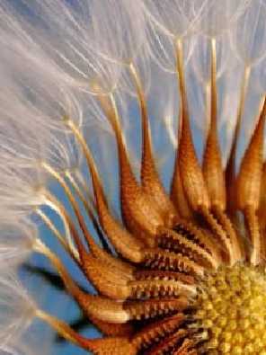 polecana ubojnia drobiu Wielkopolska