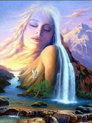 podkarpackie ubojnie kurczaków