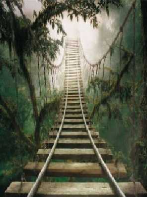 ubojnia kurczaków woj. podkarpackie