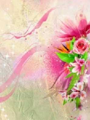 ubojnie kurczaków woj. świętokrzyskie