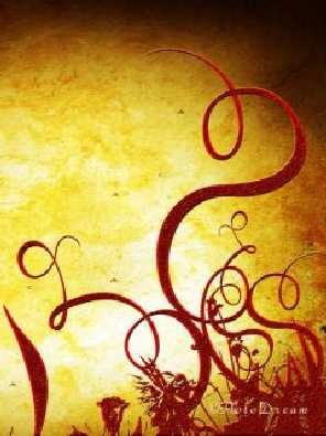 ubojnie drobiu województwo lubuskie