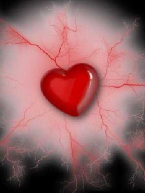 woj. wielkopolskie ubojnie kurczaków