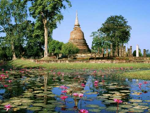 hurtownia kurczaków Poznań