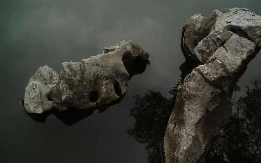 ubojnia drobiu Piła