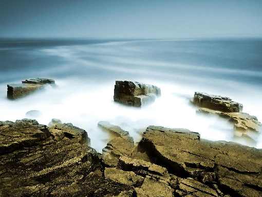 ubojnia drobiu Piła