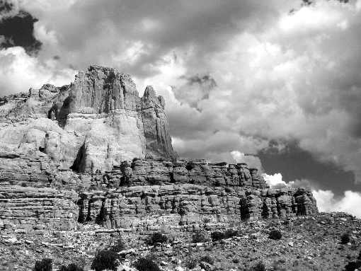 najtańsze kurczaki Koszalin