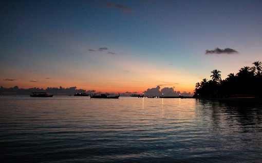 kurczaki hurtownie Poznań