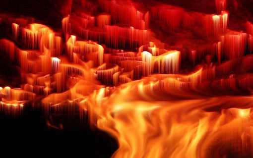 ubojnia drobiu Wielkopolska