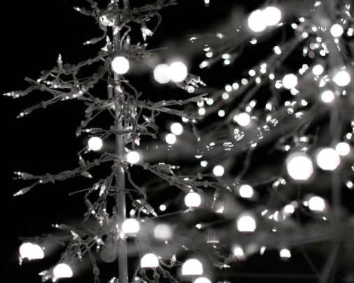 kurczaki hurt Oborniki