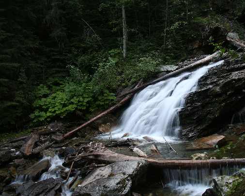ubojnia drobiu świętokrzyskie