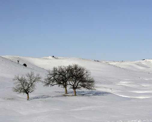 dobra ubojnia drobiu