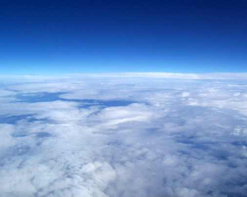 Wielkopolska ubojnia drobiu