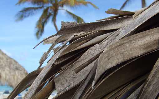 Wielkopolska ubojnia drobiu