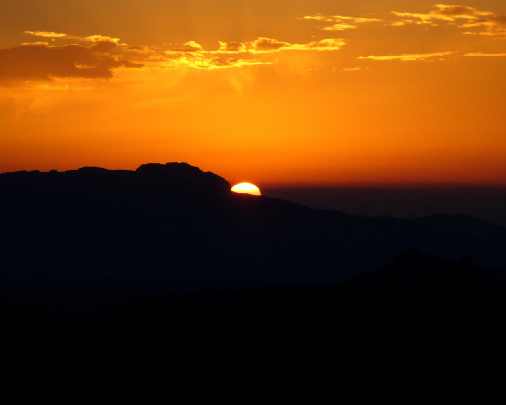 ubojnia drobiu Piła