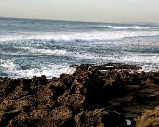 rzeźnie drobiu województwo lubelskie