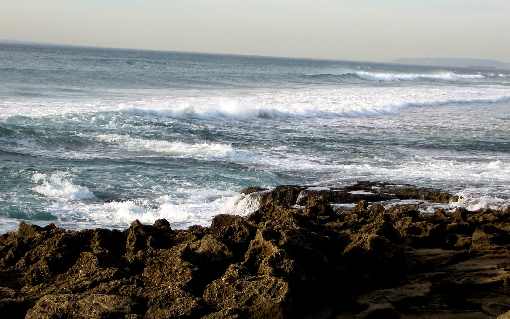 rzeźnia kurczaków kujawsko pomorskie