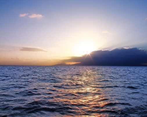 ubojnia drobiu województwo warmińsko mazurskie