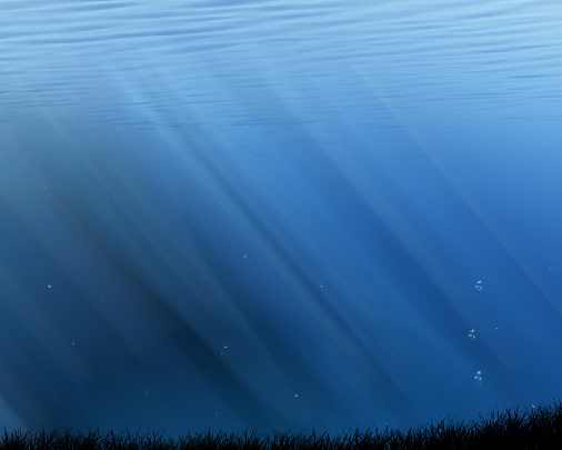 rzeźnie kurczaków województwo Zachodniopomorskie