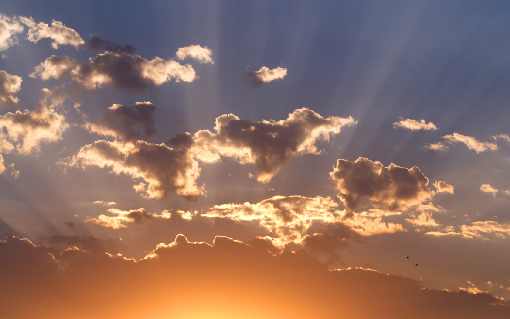 hurtownia kurczaków Człuchów