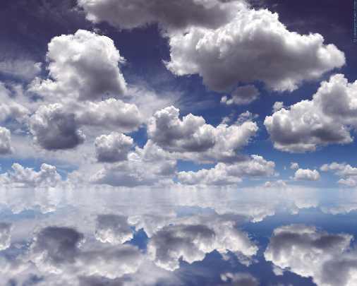 ubojnia drobiu Piła