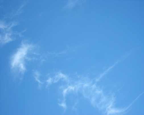 hurtownia drobiu Gdynia