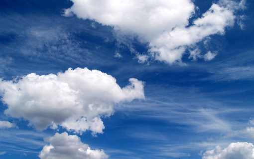 rzeźnie kurczaków woj. świętokrzyskie