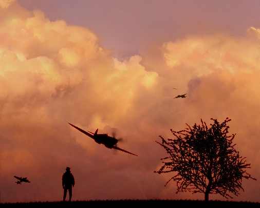 ubojnie kurczaków woj. opolskie