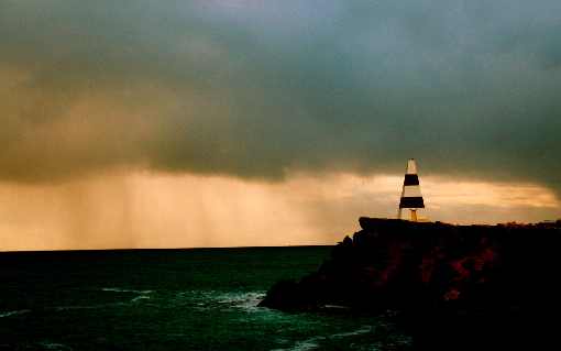 tania ubojnia drobiu