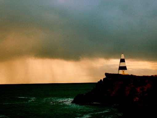 ubojnie drobiu Wielkopolskie