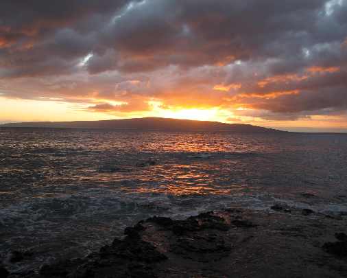 woj. świętokrzyskie rzeźnie drobiu