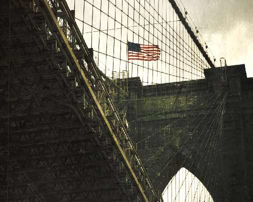 kurczaki hurt Gościno