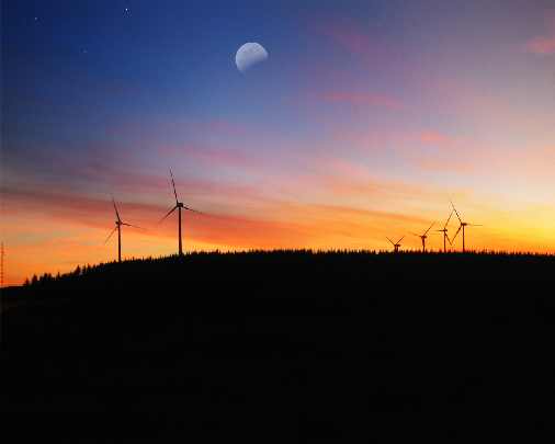 Wielkopolskie ubojnie drobiu