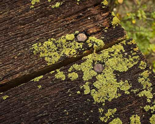 województwo świętokrzyskie rzeźnie drobiu