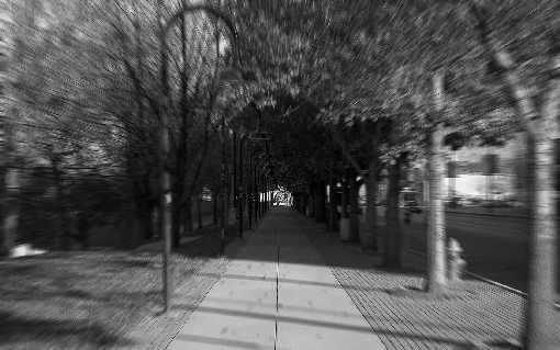 hurtownia drobiu Mielno