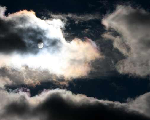 hurtownia kurczaków Recz