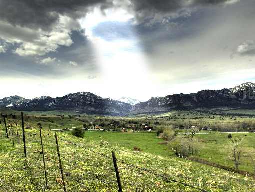 świętokrzyskie ubojnia kur