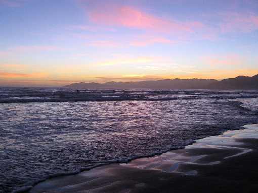 ubojnia kurczaków podlaskie