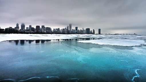 polecana ubojnia drobiu