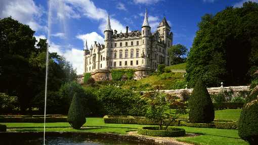 kurczaki Koszalin cena