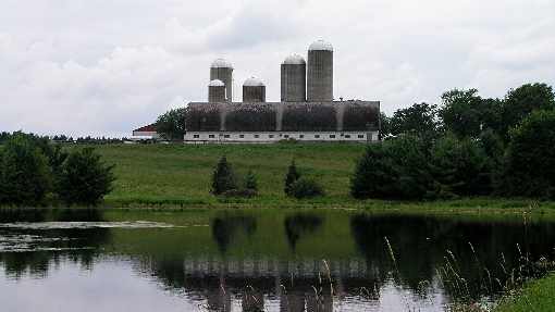 Zachodniopomorskie ubojnie drobiu