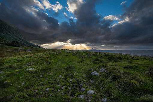 województwo podkarpackie ubojnie drobiu