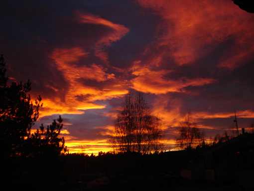 ubojnia drobiu podlaskie