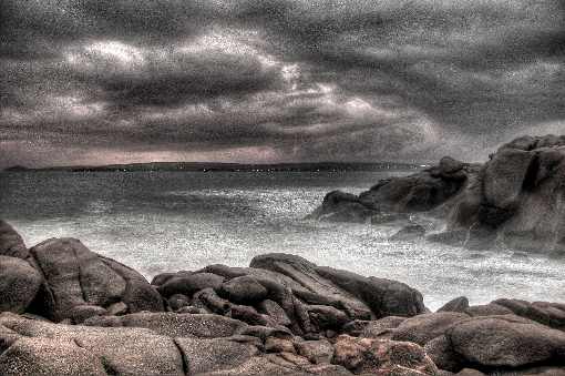 Poznań skrzydła z kurczaka