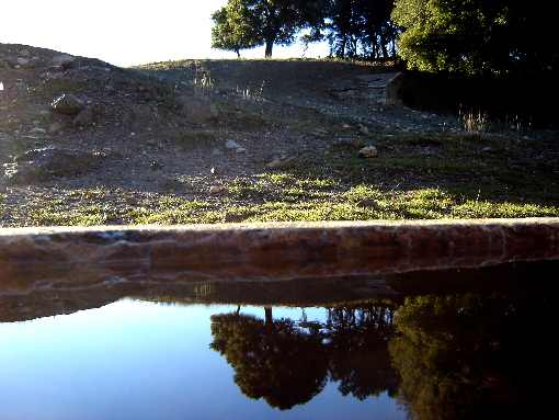 woj. małopolskie ubojnia drobiu