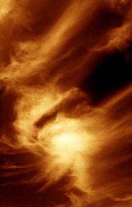 ubojnia drobiu strona internetowa