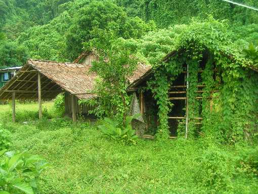 ubojnia drobiu Piła
